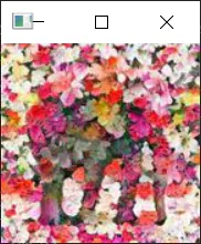 另一组花朵动物图片样本
